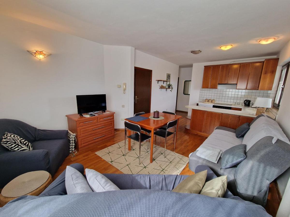 Apartments Katarina - New Renovated 罗维尼 外观 照片