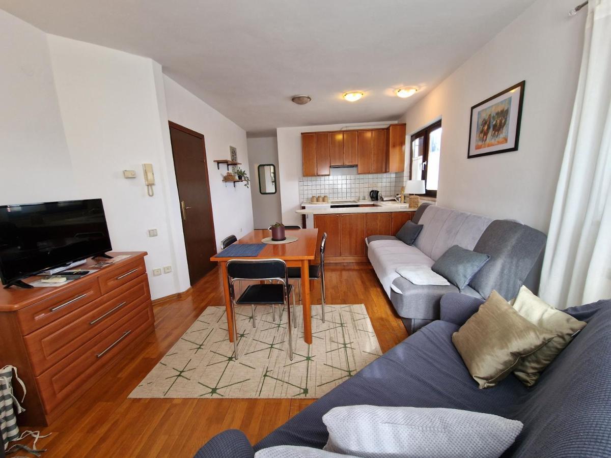 Apartments Katarina - New Renovated 罗维尼 外观 照片