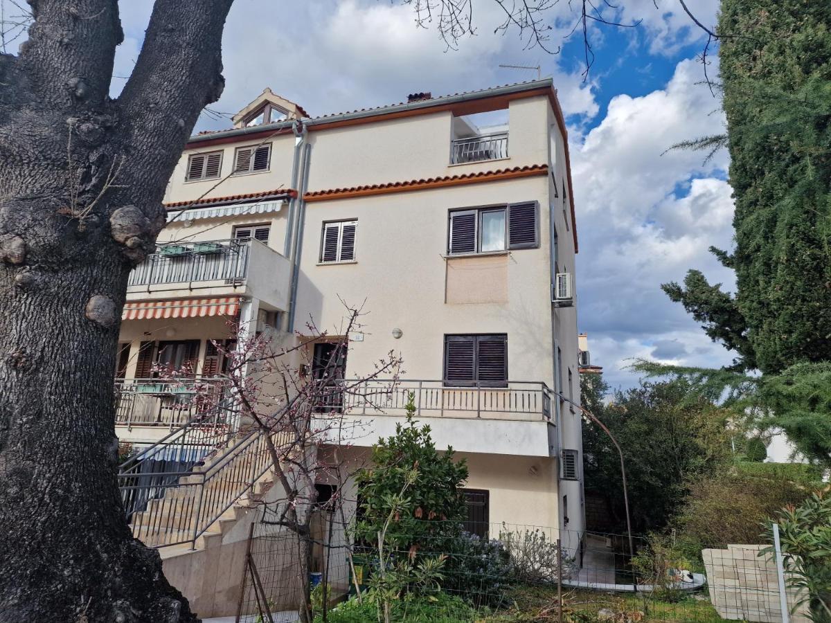 Apartments Katarina - New Renovated 罗维尼 外观 照片