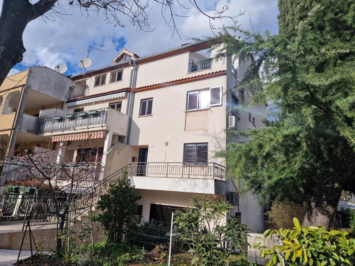 Apartments Katarina - New Renovated 罗维尼 外观 照片